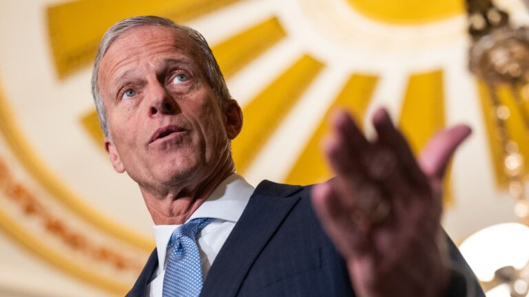 ACA subsidy fraud is ‘rampant,’ Republicans say. Some health policy experts disagree