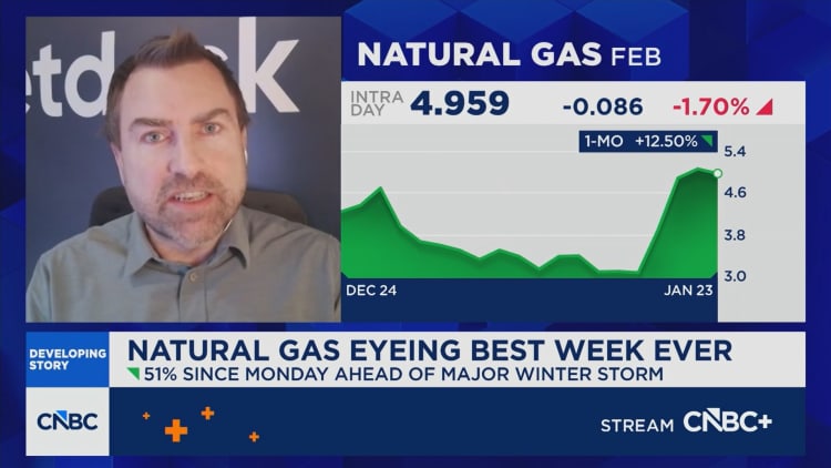 Leonard: Power prices depend on what happens to the grid