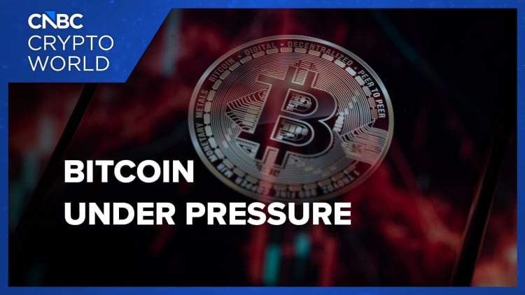 Bitcoin faces selling pressure as investors rotate out of risk-on assets: CNBC Crypto World